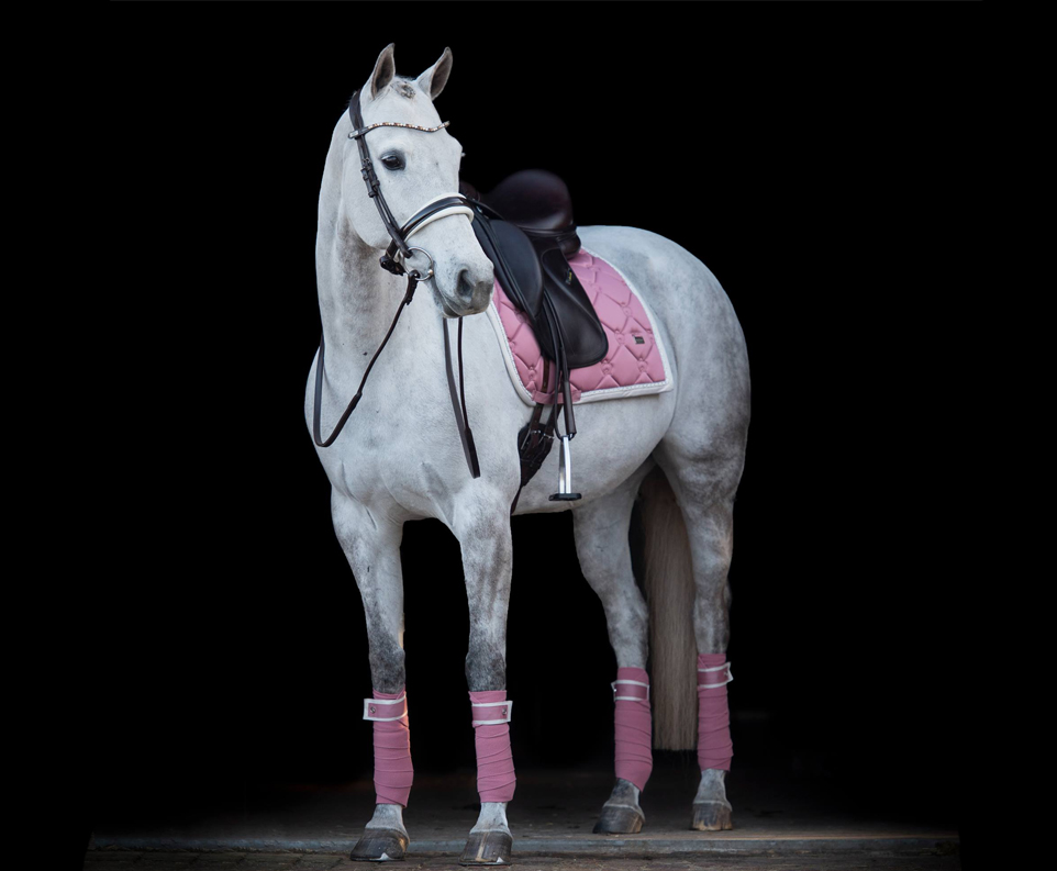 Equestrian Equipment Premium Equestrian Clothing Equestrian Online